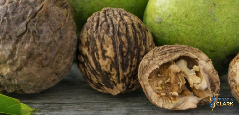 Nem toda Nogueira Preta é igual – O detalhe essencial na Terapia Clark